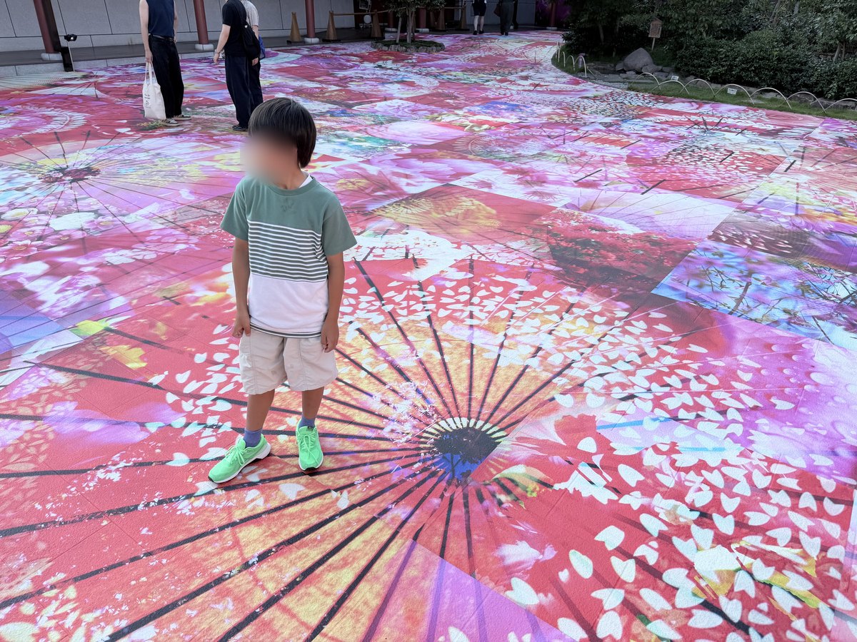 道後の椿プロジェクション