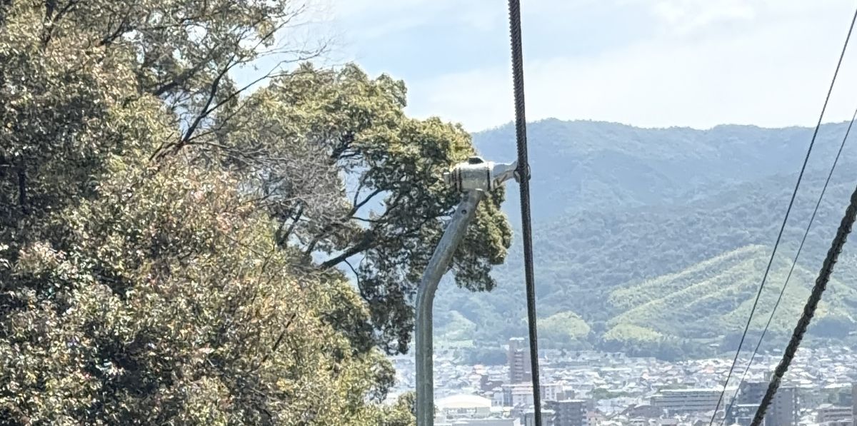 リフトからの眺め