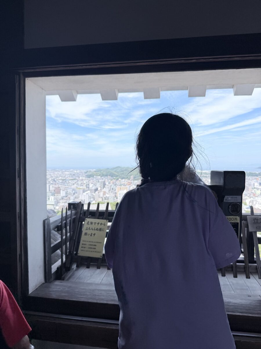 松山城の天守閣から見えた松山の街並み
