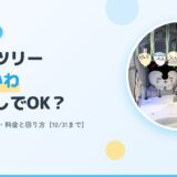 スカイツリー×ちいかわ 予約なしで行った子連れレポのアイキャッチ