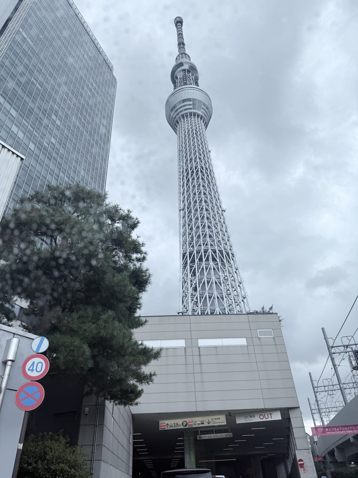 東京スカイツリーを見上げた外観（2026年8月・ちいかわコラボ開催中）