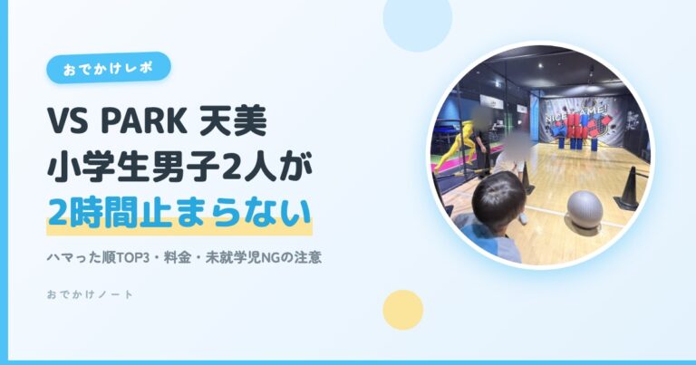 VS PARK セブンパーク天美 小学生男子2人が2時間止まらない 子連れレポ