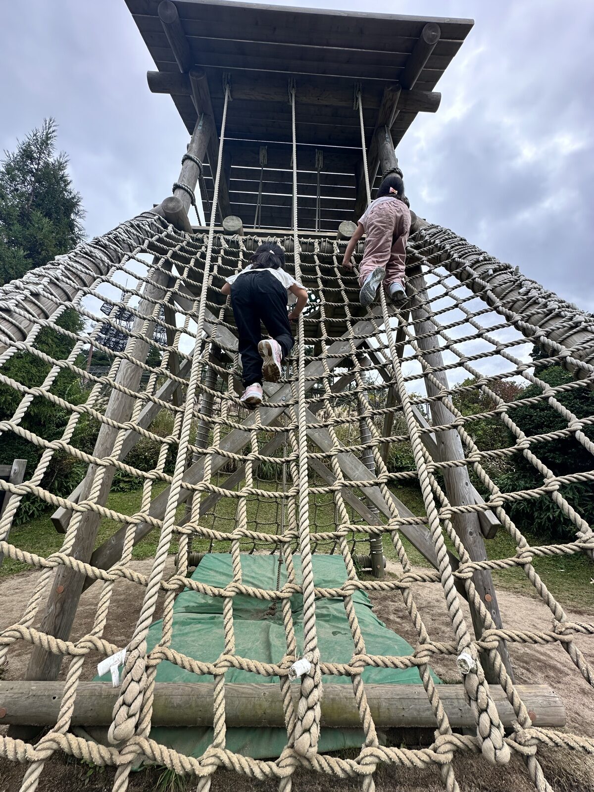 見上げる高さまで、自分のペースで。