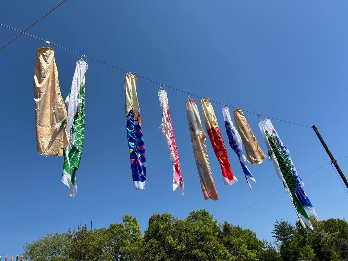 青空に泳ぐこいのぼり