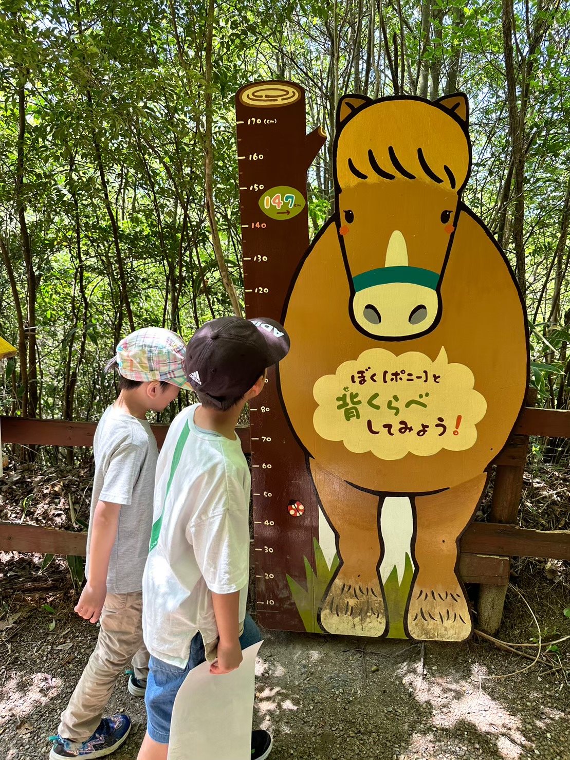 ポニーの背くらべボードの前に立つ子どもの後ろ姿